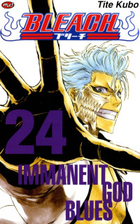 Image of Bleach 24