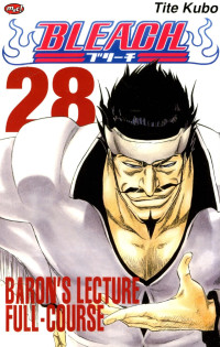Image of Bleach 28